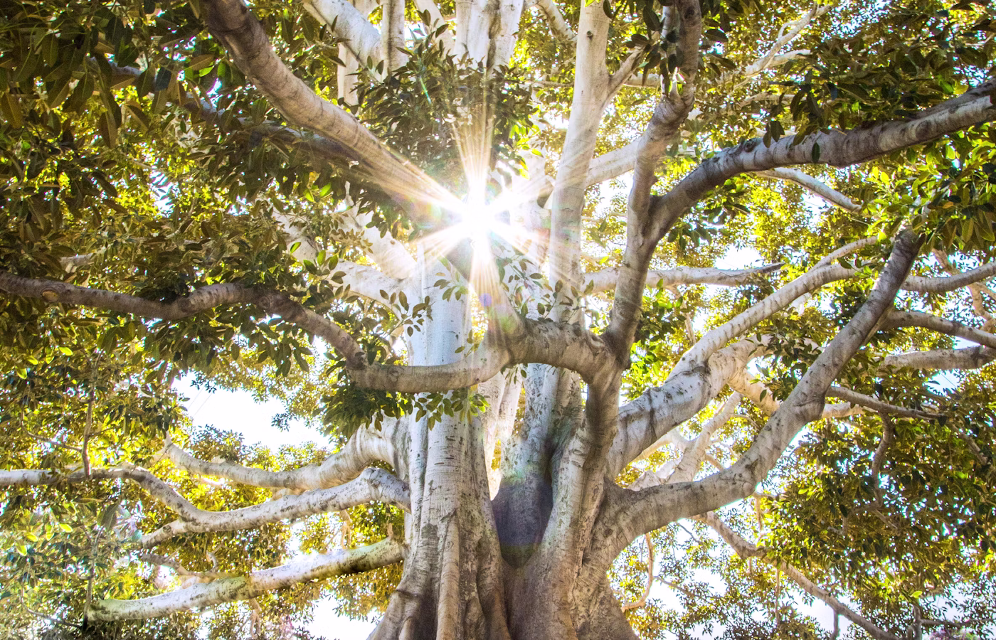 Психологическая устойчивость для предпринимателя